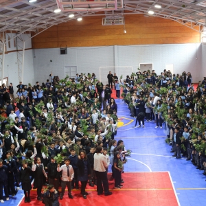 Celebración de Ramos